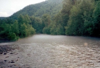 Река Максимовка